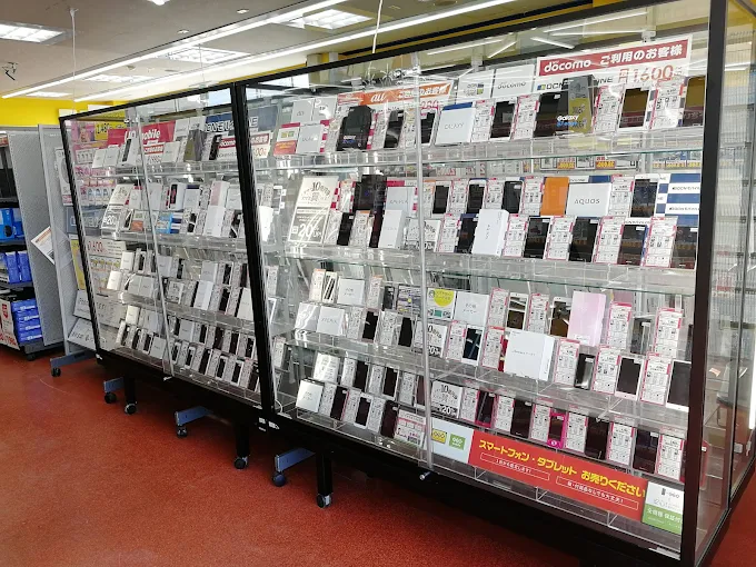 ゲオ 鹿児島草牟田店