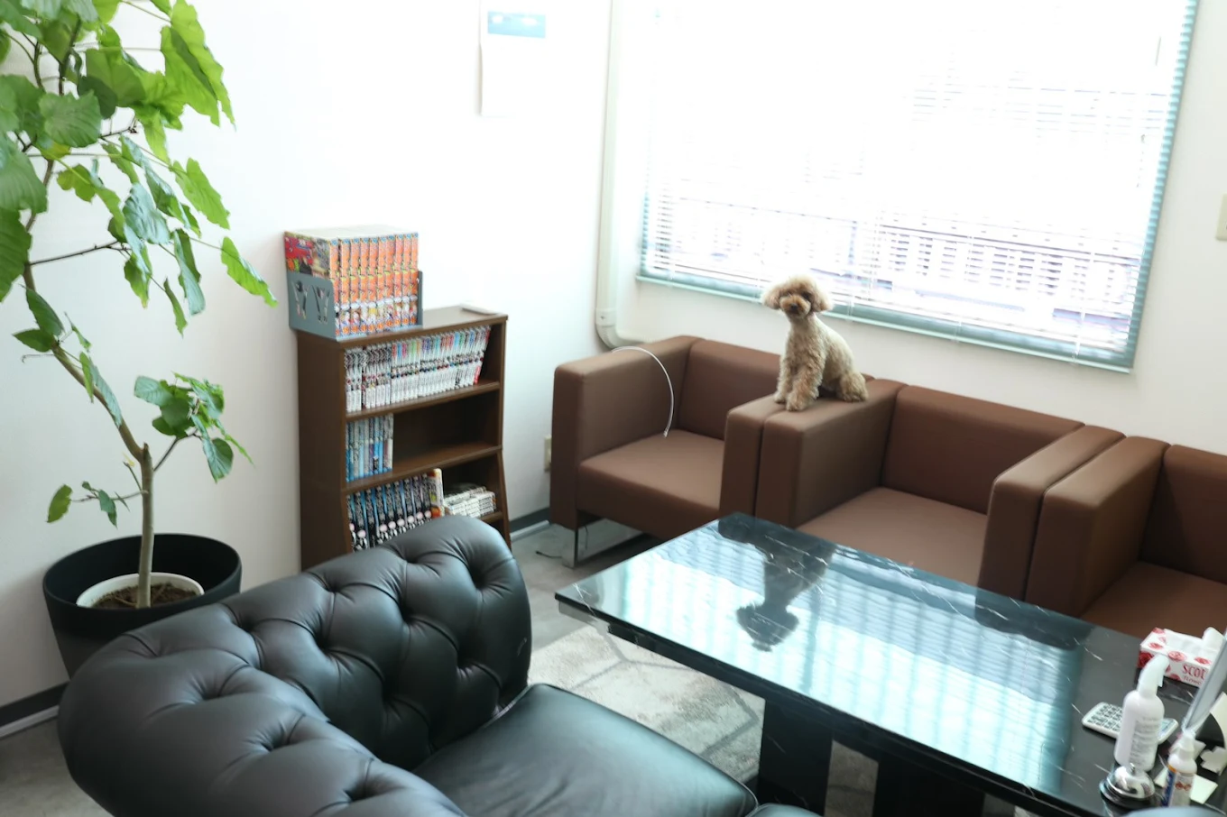 買う買う王国 富山店