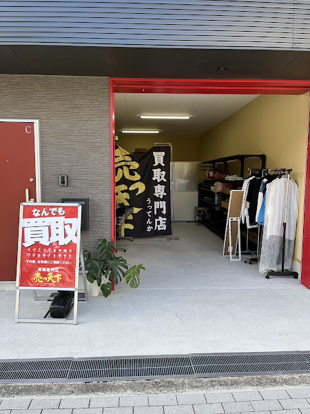 売っ天下