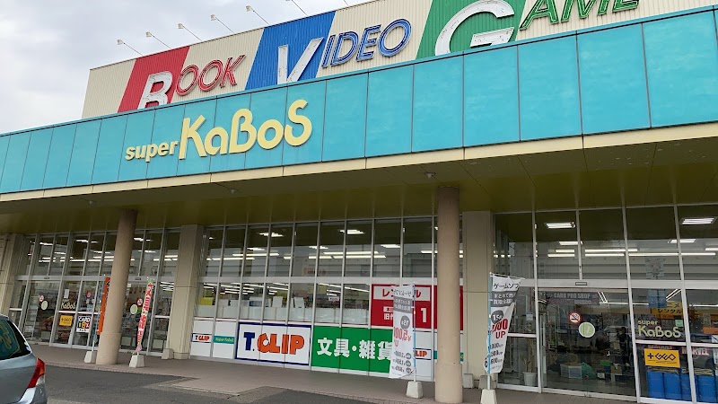 ゲオ 武生店